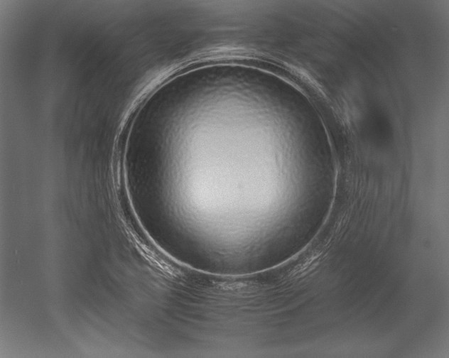 X0000052551413200507081557