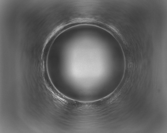 X0000052551414200507081557