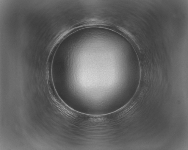 X0000052551415200507081557