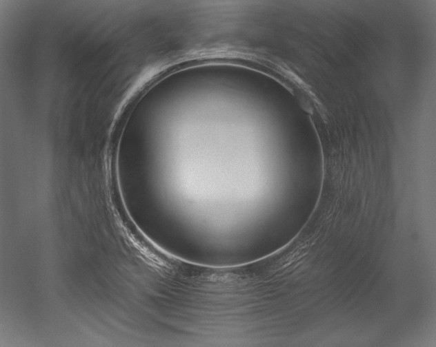 X0000052551416200507081557