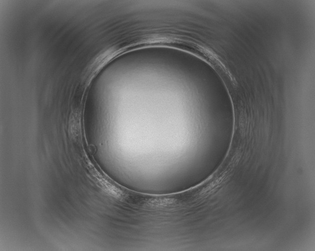 X0000052551417200507081557