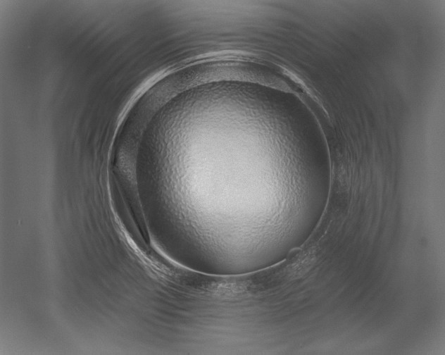 X0000052551418200507081557