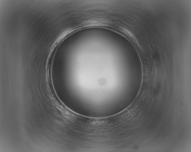 X0000052551419200507081557