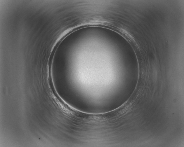 X0000052551420200507081557