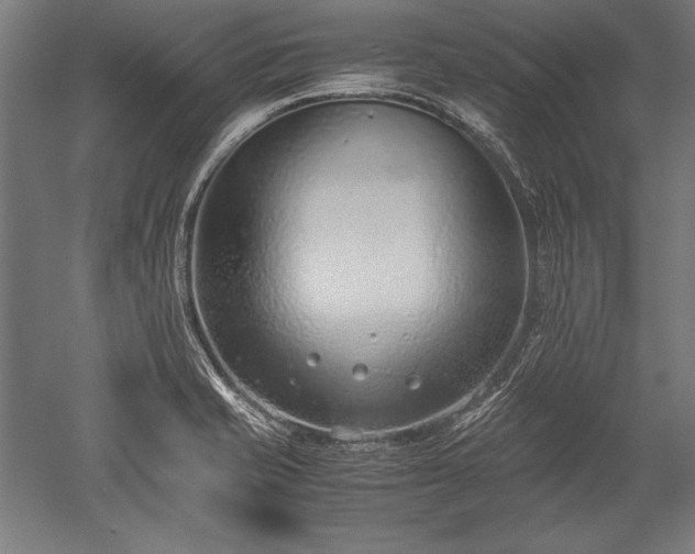 X0000052551421200507081557