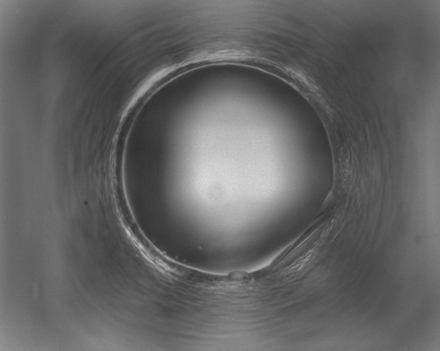 X0000052551422200507081557