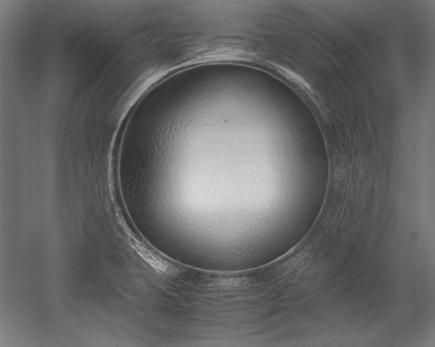 X0000052551423200507081557