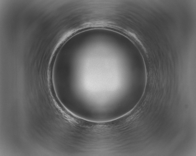 X0000052551424200507081557