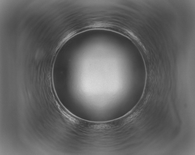 X0000052551425200507081557