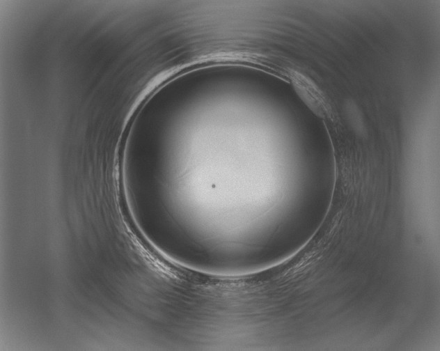 X0000052551428200507081558