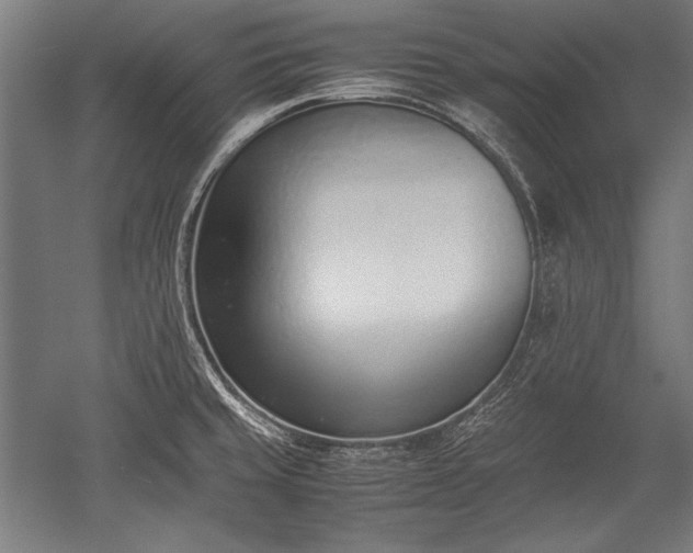 X0000052551429200507081558