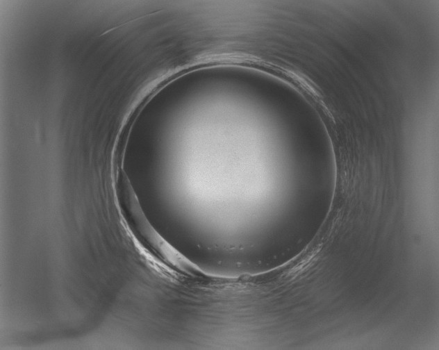 X0000052551430200507081558