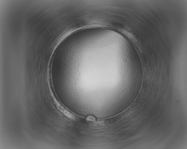 X0000052551431200507081558