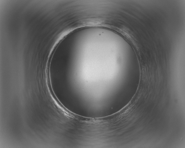 X0000052551432200507081558