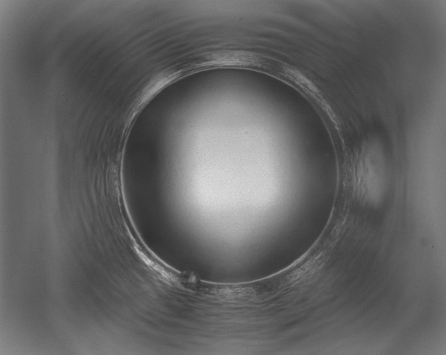 X0000052551433200507081558