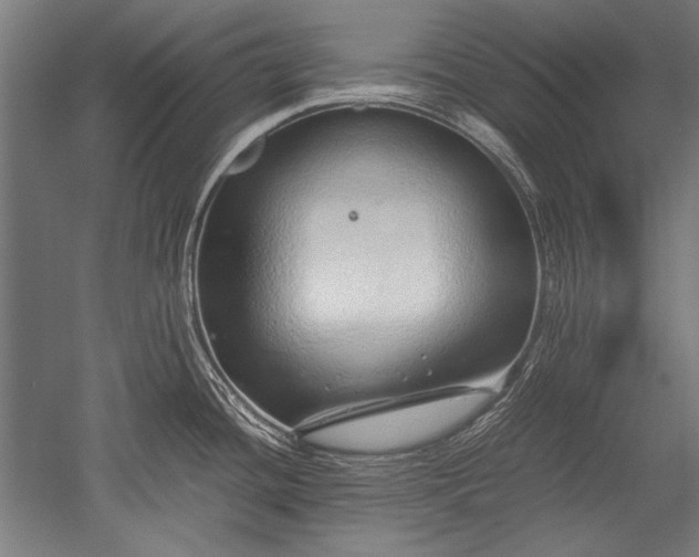 X0000052551436200507081558