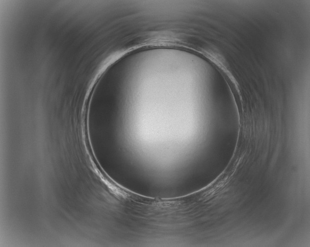 X0000052551437200507081558