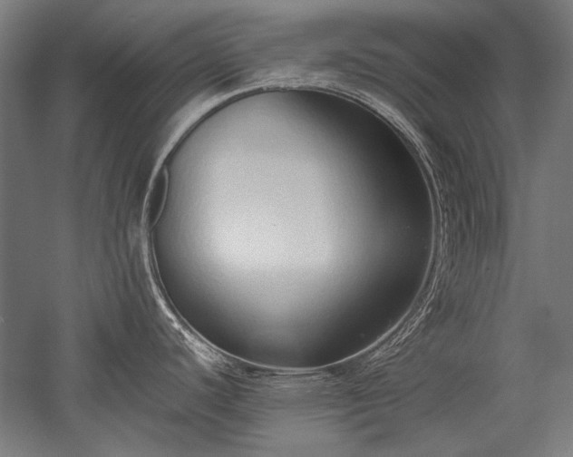 X0000052551440200507081558