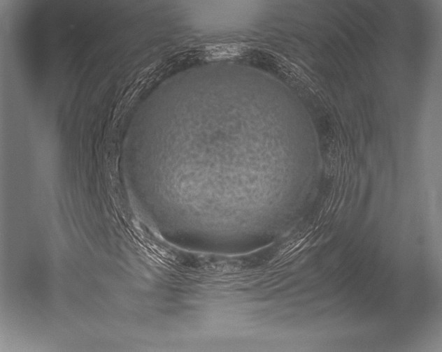 X0000052551441200507081557