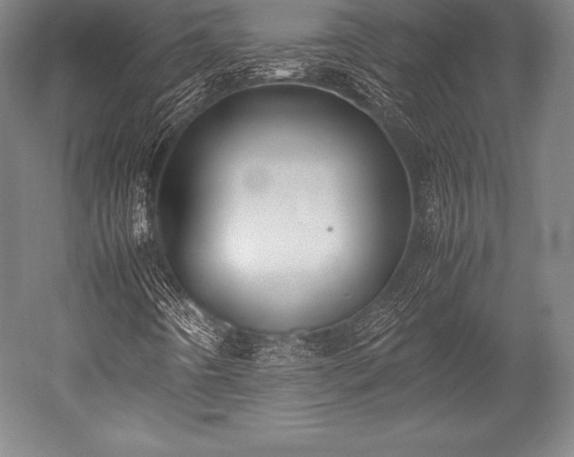 X0000052551442200507081557