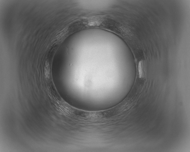 X0000052551443200507081557