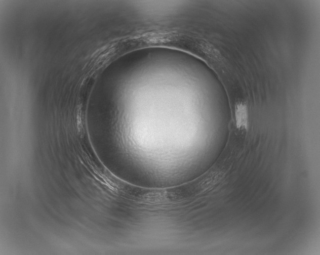 X0000052551444200507081557