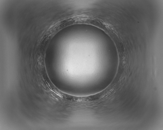 X0000052551445200507081557