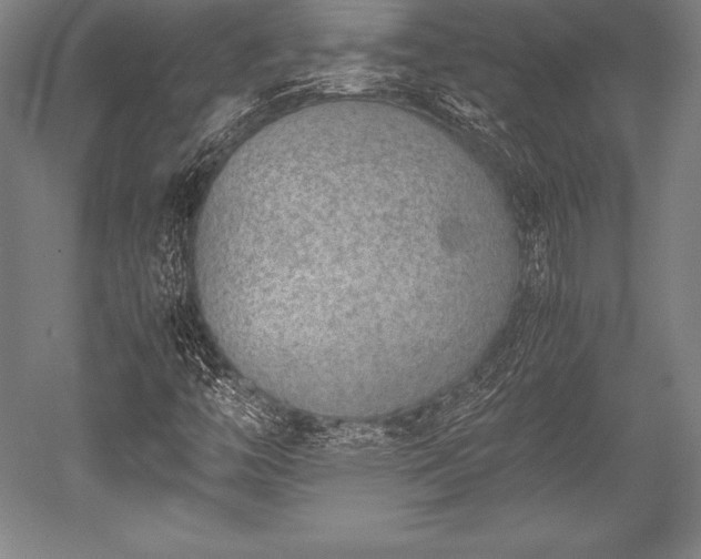 X0000052551446200507081557