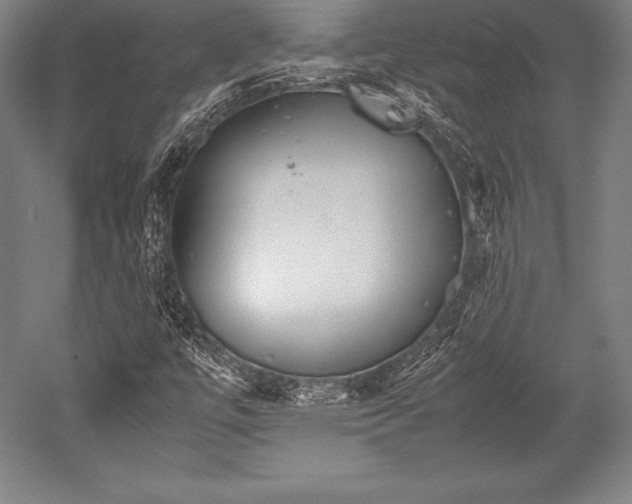 X0000052551447200507081557