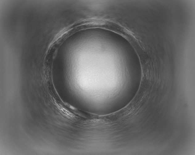 X0000052551448200507081557