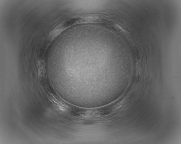 X0000052551449200507081557