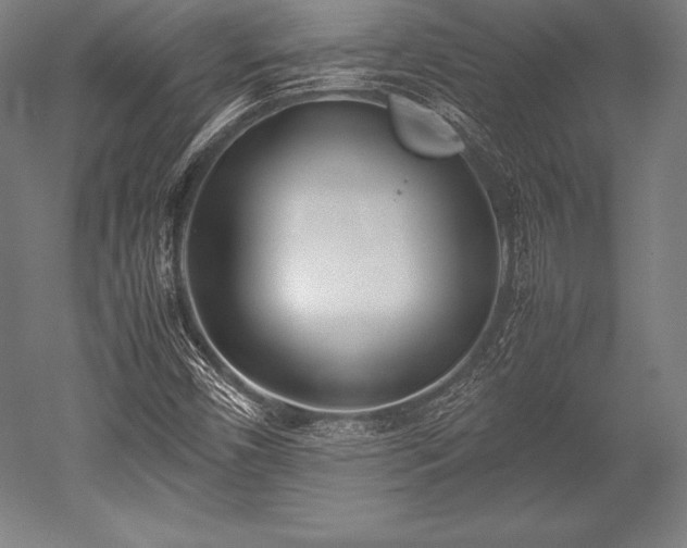 X0000052551450200507081557