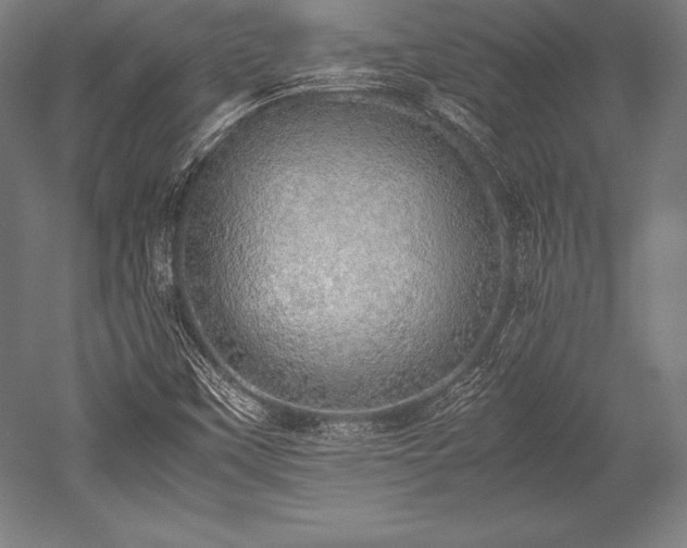 X0000052551451200507081557