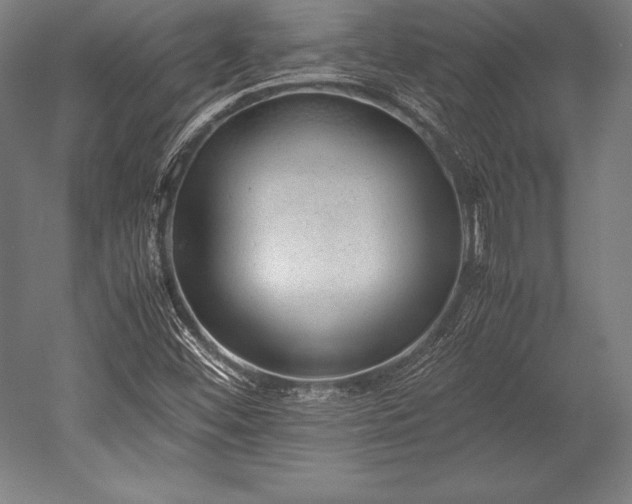 X0000052551452200507081557