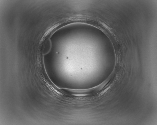 X0000052551453200507081557