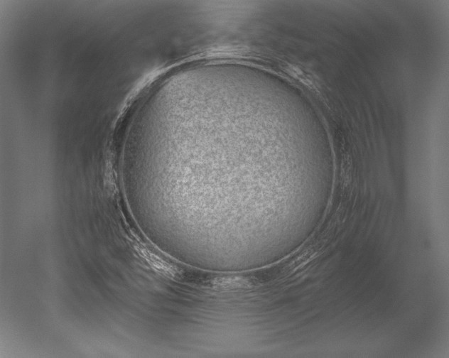 X0000052551454200507081557