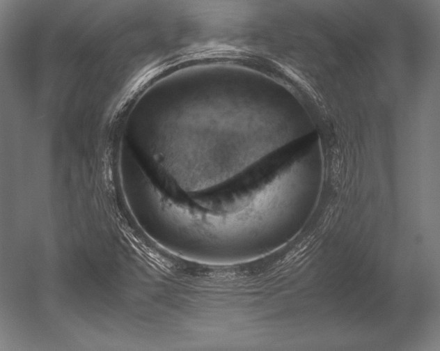 X0000052551455200507081557