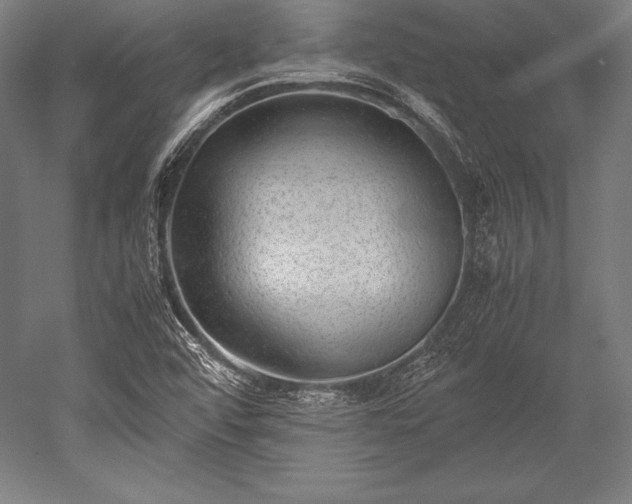 X0000052551456200507081557