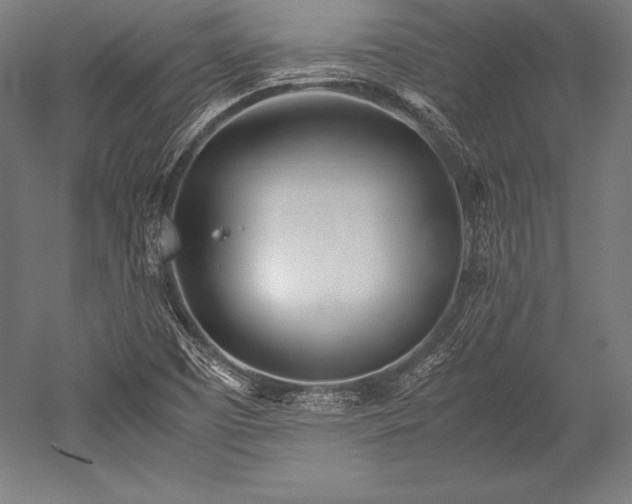 X0000052551457200507081557