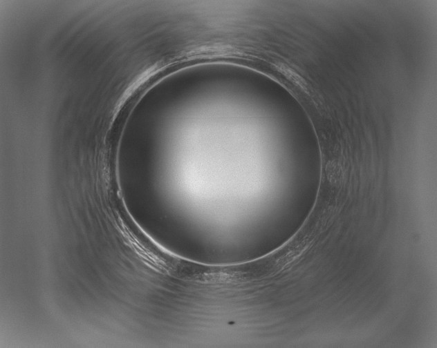 X0000052551458200507081557