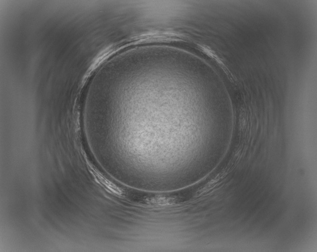 X0000052551459200507081557