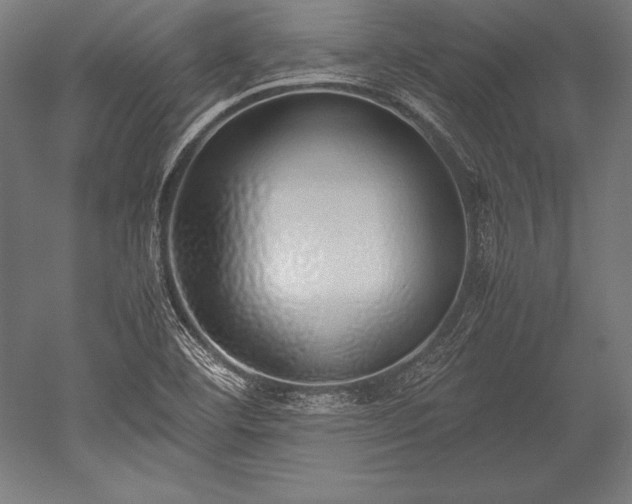 X0000052551460200507081557