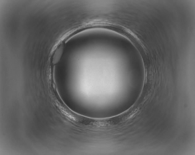 X0000052551461200507081557