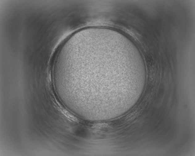 X0000052551462200507081557