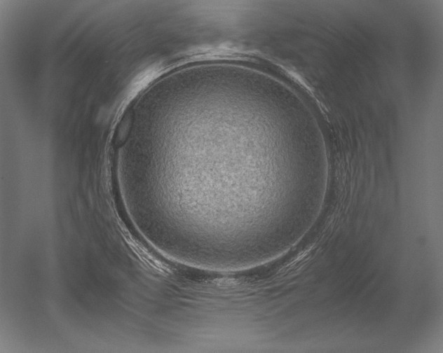 X0000052551463200507081557