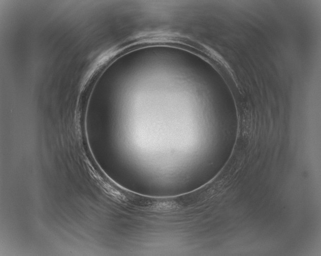 X0000052551464200507081557