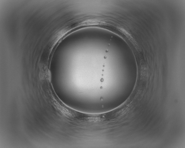 X0000052551465200507081557