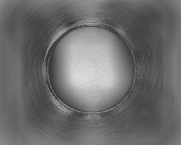 X0000052551466200507081557