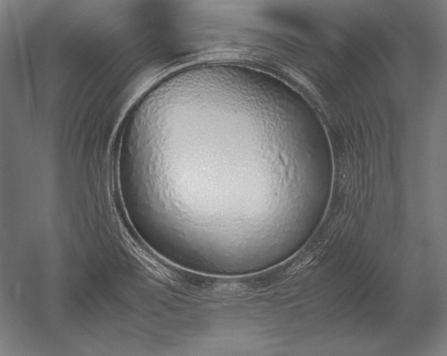 X0000052551467200507081556