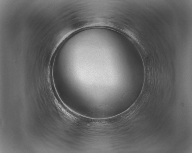 X0000052551468200507081556